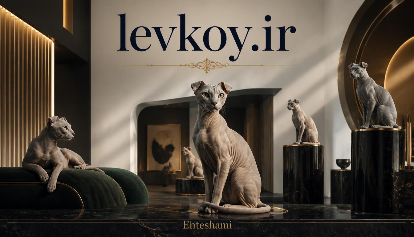 levkoy.ir