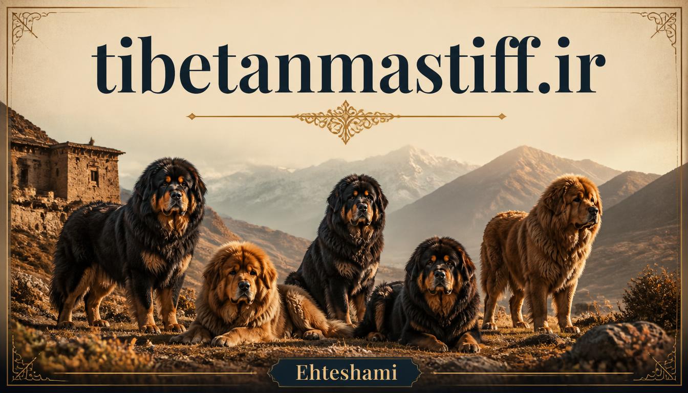 tibetanmastiff.ir